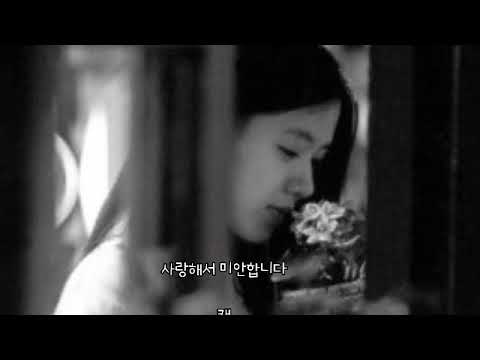 사랑해서 미안합니다 ㅡ 캔