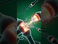 Your Phone Is Rewiring Your Brain… Here’s How.#ScrollingAddiction #BrainHealth #Dopamine