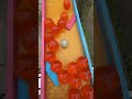 Marble Run ☆ Genius Freedom and New Performers③
