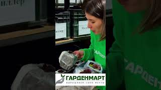 Сад, как с обложки журнала