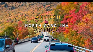 Blue ridge Parkway Fall foliage scenic drive|Fall color road trip North Carolina| by Travelclicks_PD 316 views 6 months ago 11 minutes, 24 seconds