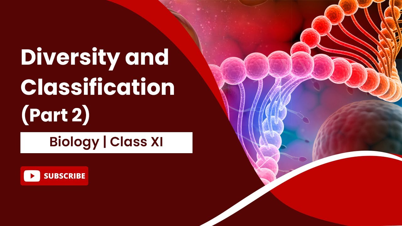 Diversity and Classification ( Part 2 ) The Living World | Biology | Class 11