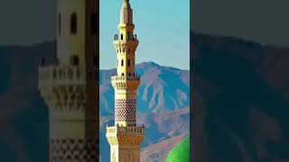Download Lagu salalah hu alaihi wasallam #shorts #facts #islam MP3