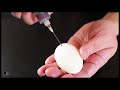 【30秒で分かる】「最速の味玉の作り方」 - ショートVer. - |レシピ|COCOCORO