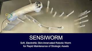 GE Aerospace's "Sensiworm" screenshot 1
