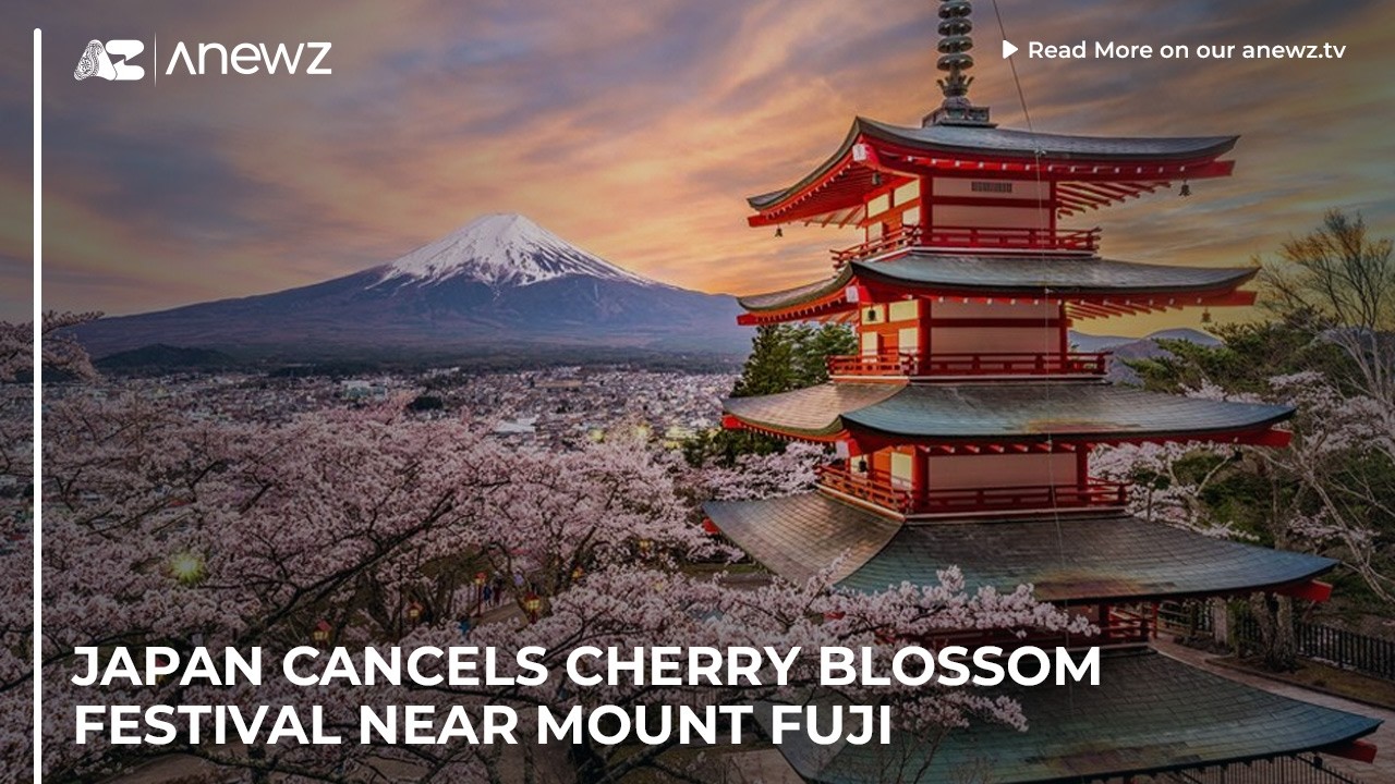 Japan cancels cherry blossom festival near Mount Fuji