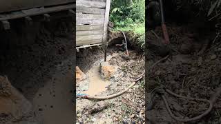 Tambang Timah Samping Rumah Pun Habis,Yang Penting Hasil