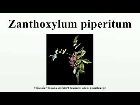 Zanthoxylum piperitum