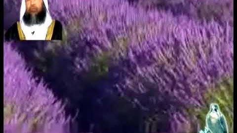 تلاوة نادرة للشيخ محمد أيوب لسورة التحريم مقام البيات ثم رصت ثم ركبي
