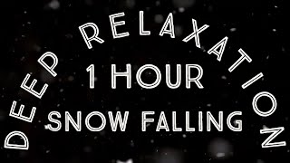 1 Hour of Deep Relaxation Snow Falling