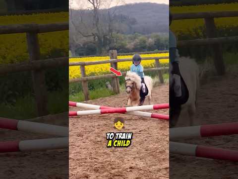Horse Training Starts