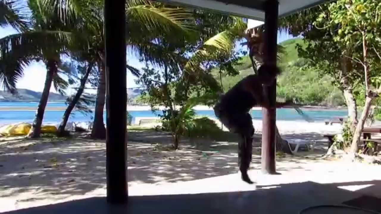 Unicorn Hoops does Fiji