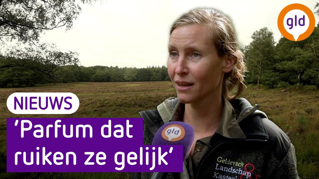 Dit is het moment om wild te spotten!