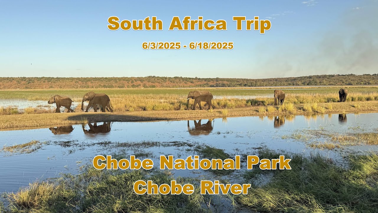 South Africa Trip EP6 - Chobe National Park Safari and Chobe River Sunset Cruise