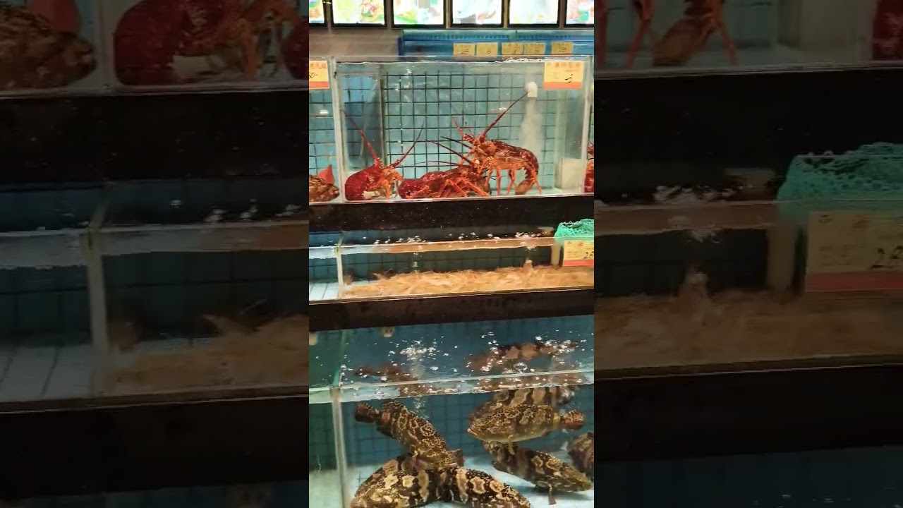 Macau Restaurant, Seafood, Dim Sum 🇲🇴 Things to do in Macau