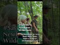 New River Wilderness. Help protect 2770-acres on the New River, Beckley West Virginia