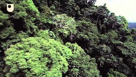 Types of Economic Bubbles - The dot.com Bubble (2/8)