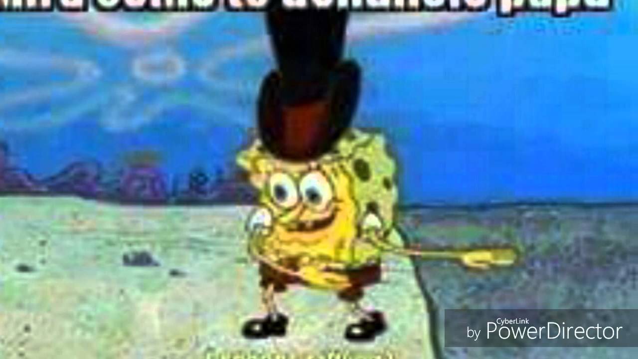 Memes de bob esponja XD YouTube
