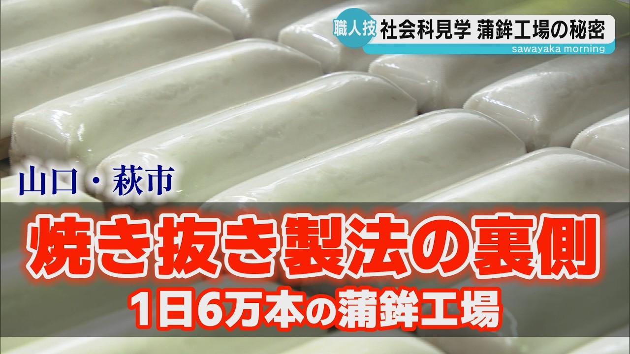Factory Tour] Behind the Scenes of a Kamaboko Factory Supported by