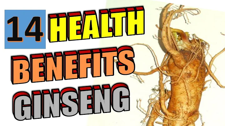 14 Amazing Health Benefits of Ginseng To Blow your Mind - DayDayNews