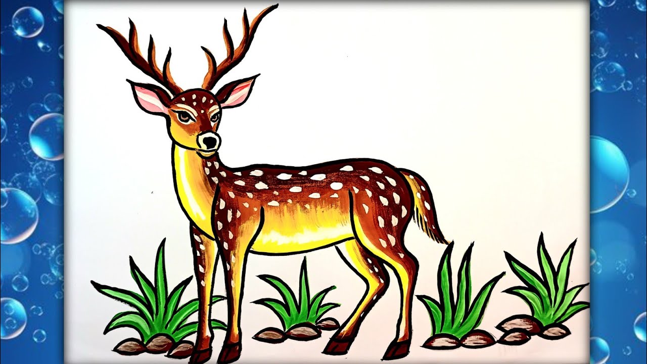 How to draw deer easy |Deer image drawing|हिरन का चित्र कैसे बनाये🦌easy wrawing step by step