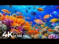 The Best 4K Aquarium - Explore the Underwater World and Beautiful Coral Reef Fish for Deep Sleep #72