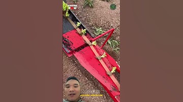 Dụng Cụ Trồng Cây Siêu Nhanh Của Người Trung Quốc #farming