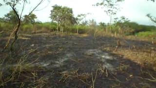 DSCN1223.AVI