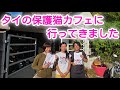 タイバンコクの保護猫カフェに行ってきました！