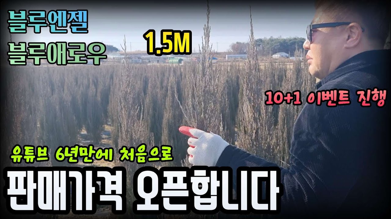 국내 최저가 판매에 10+1이벤트 까지... 이가격 다신 못볼듯 [백작가든:010-4723-1336]