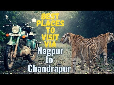 Nagpur To Chandrapur - Budget Trip Plan | Places to Visit Between Nagpur to Chandrapur travel