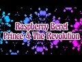 Raspberry Beret - Prince & The Revolution Lyrics