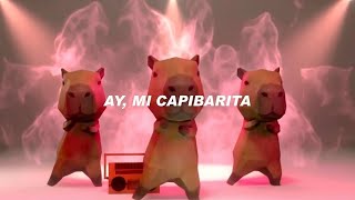 ay mi capibarita cui, cui (tiktok) | MONTAGEM MIAU lyrics