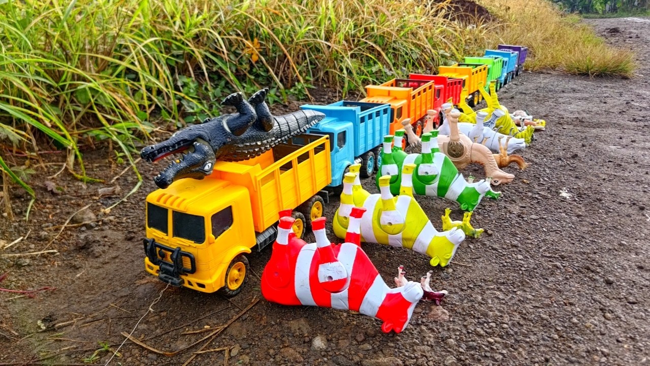 Wadidaw‼️Banyak Sapi Lucu Warna Warni Kerbau Kambing Buaya Unta Zebra Angsa diangkut dengan Truk