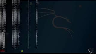 urlcrazy Information gathering tool on Kali Linux