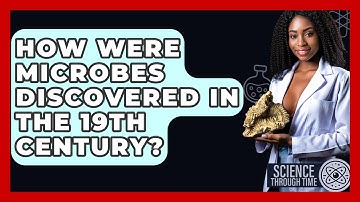 How Were Microbes Discovered In The 19th Century? - Science Through Time