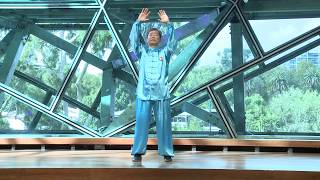 Tai Chi with Master Han Jin Song class 1