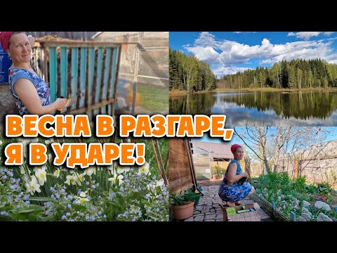 НАВОЖУ КРАСОТУ В САДУ, ДАЧНЫЕ ВЫХОДНЫЕ 12 мая 2026 г.