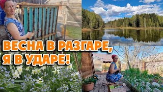 НАВОЖУ КРАСОТУ В САДУ, ДАЧНЫЕ ВЫХОДНЫЕ 12 мая 2026 г.