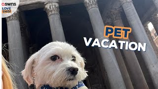 &quot;I spent £800 taking my dog on month-long holiday around Italy - it was worth it&quot; 🐶 | LOVE THIS!