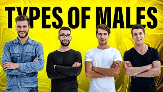 What Male Personality Type Are You? Alpha, Beta, Gamma, Sigma, or Omega