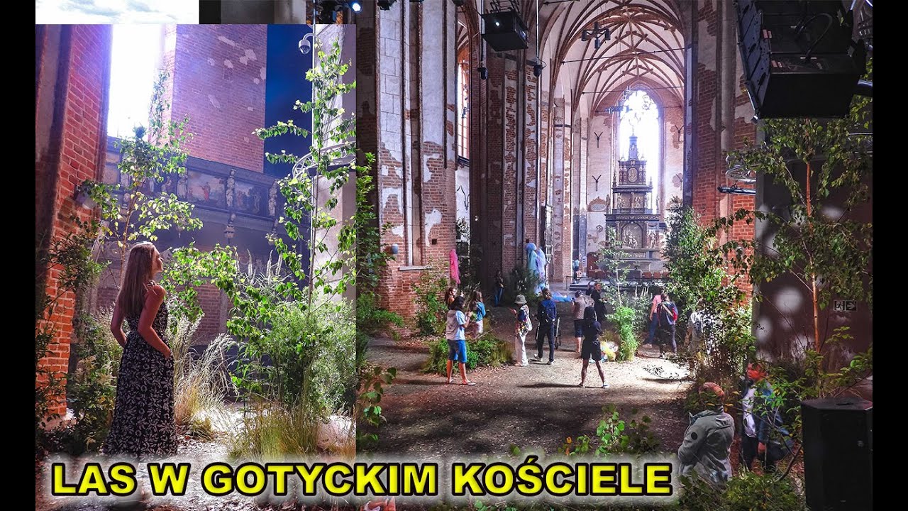 4.07. Ależ widok.Las w gotyckim kościele św. Jana w Gdańsku!
