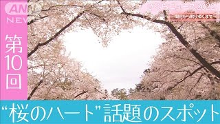 「桜のハート話題のスポット」さくらニュース2022～開花から散りゆくまで～【第10回】(2022年5月1日)