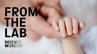 Scientists to trial mitochondrial donation in UK babies