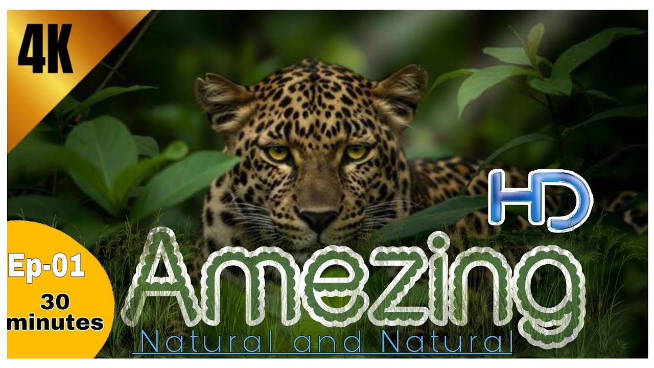 Amazing natura: |l wonders to explore near bird habitats 🐦🕊️ | 