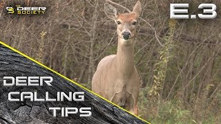 Deer Calling Tips: E.3 "Fall Parental Dynamics"