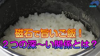 磁石とアレの関係がご飯を旨くする！