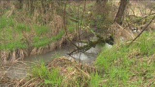 Oregon expands map of critical fish habitat throughout state