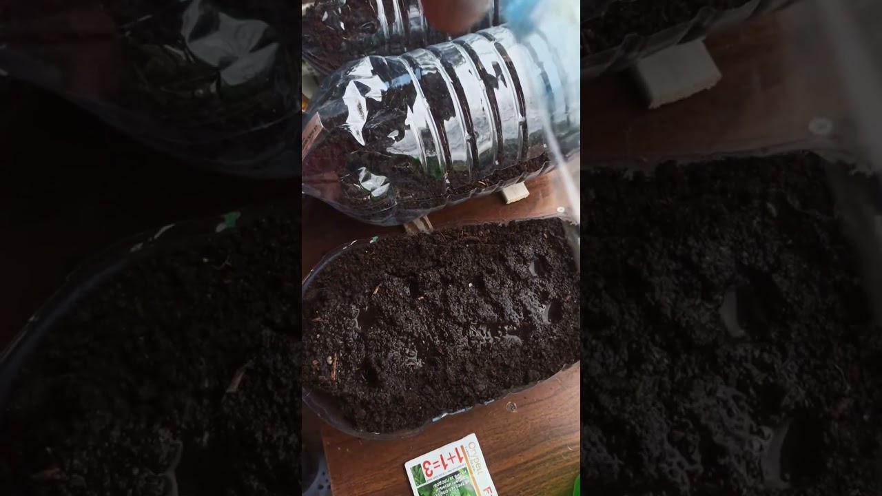 МИНИ ПАРНИК ИЗ ПЛАСТИКОВОЙ БУТЫЛКИ