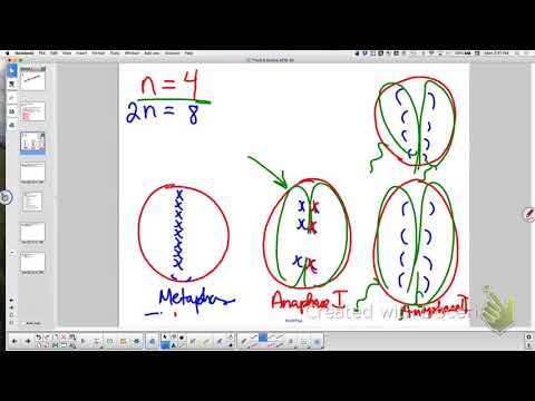 apbio-college-board-unit-05-review